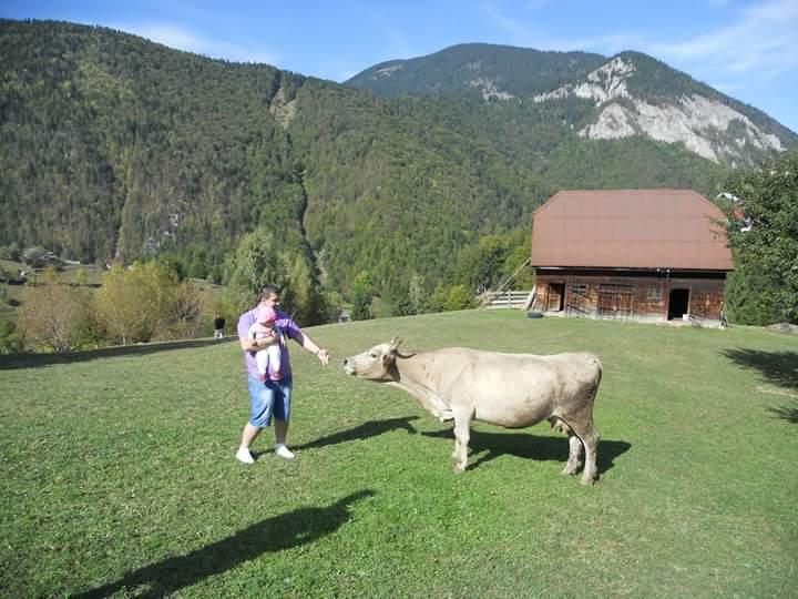 Pensiunea Casa Dobre Мэгура Экстерьер фото